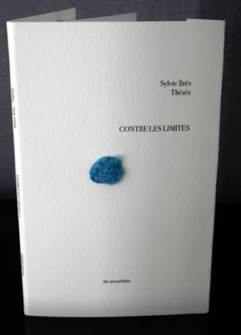 Dernier livre Sylvie Brès